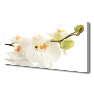 Fototryck canvas Blommor Växtnatur