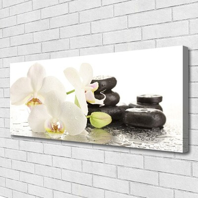 Fototryck canvas Blomstensväxt