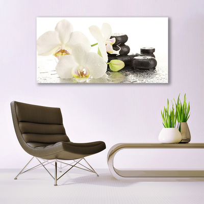 Fototryck canvas Blomstensväxt