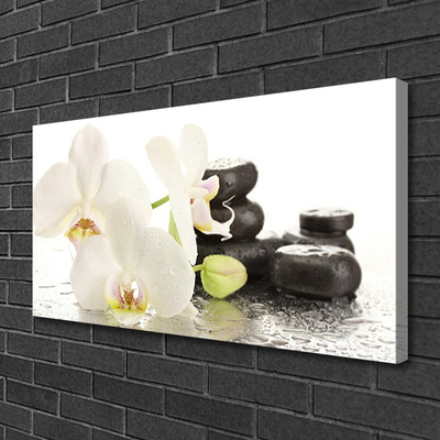 Fototryck canvas Blomstensväxt