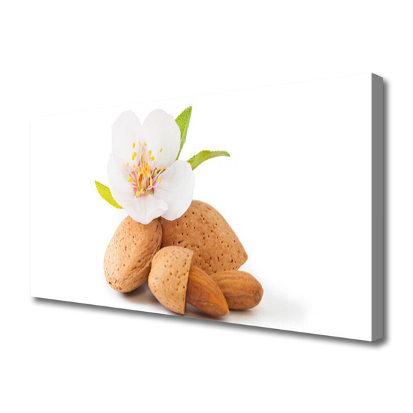 Fototryck canvas Blomma Pistasch Natur