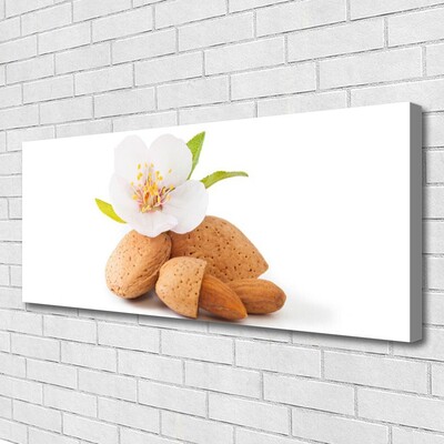 Fototryck canvas Blomma Pistasch Natur