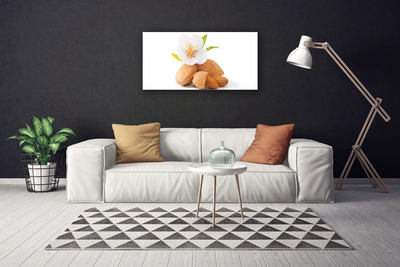 Fototryck canvas Blomma Pistasch Natur