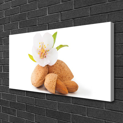 Fototryck canvas Blomma Pistasch Natur