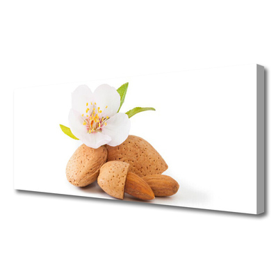 Fototryck canvas Blomma Pistasch Natur