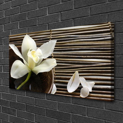 Canvas bild Blomma Växt Natur