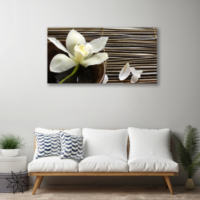 Canvas bild Blomma Växt Natur