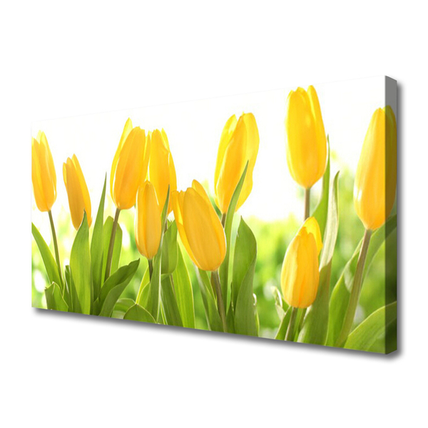 Canvas bild Tulpaner Blommor Plant