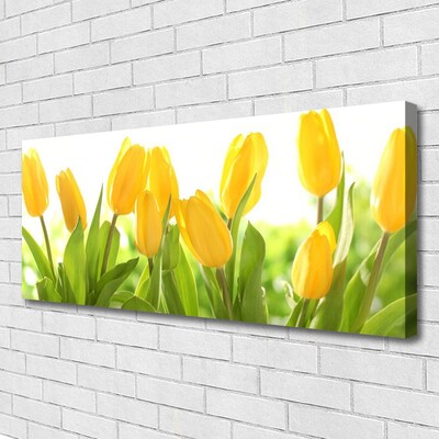 Canvas bild Tulpaner Blommor Plant