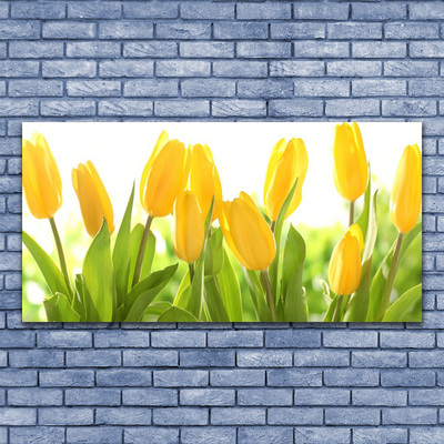 Canvas bild Tulpaner Blommor Plant