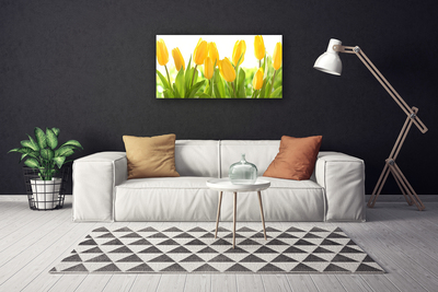 Canvas bild Tulpaner Blommor Plant