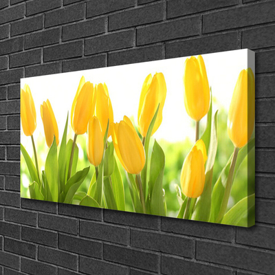 Canvas bild Tulpaner Blommor Plant