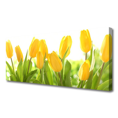 Canvas bild Tulpaner Blommor Plant