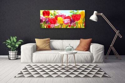 Fototryck canvas Tulpaner Blommor Plant