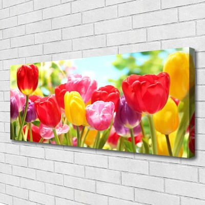 Fototryck canvas Tulpaner Blommor Plant