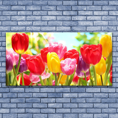 Fototryck canvas Tulpaner Blommor Plant