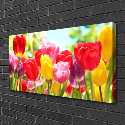 Fototryck canvas Tulpaner Blommor Plant