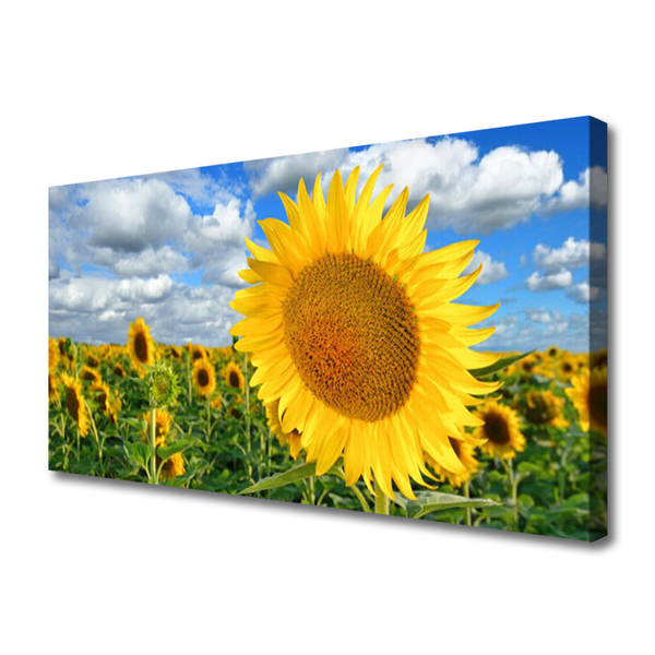 Fototryck canvas Solros blomma växt