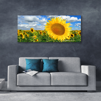 Fototryck canvas Solros blomma växt