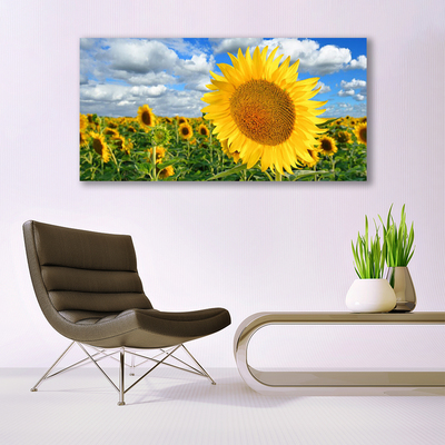 Fototryck canvas Solros blomma växt