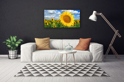 Fototryck canvas Solros blomma växt