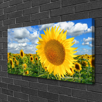 Fototryck canvas Solros blomma växt