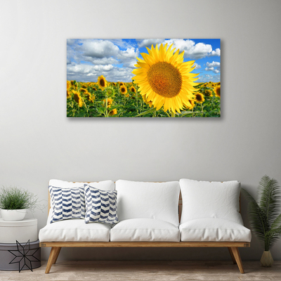 Fototryck canvas Solros blomma växt