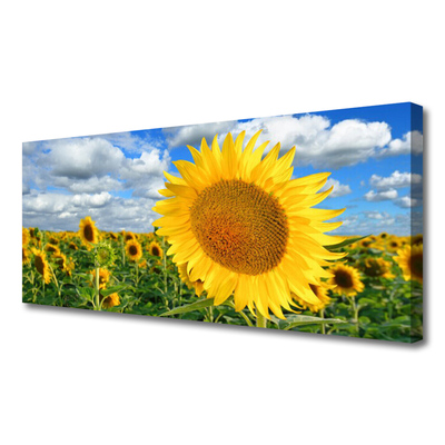 Fototryck canvas Solros blomma växt