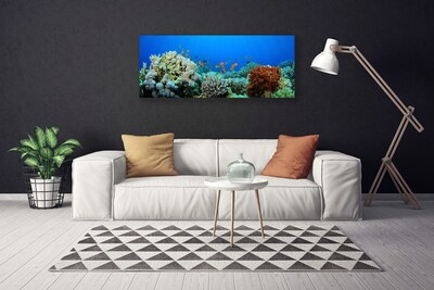 Fototryck canvas Korallrevs natur