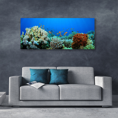 Fototryck canvas Korallrevs natur