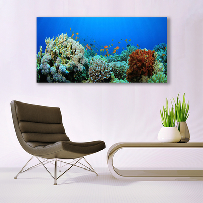 Fototryck canvas Korallrevs natur