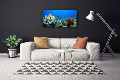 Fototryck canvas Korallrevs natur