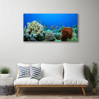 Fototryck canvas Korallrevs natur