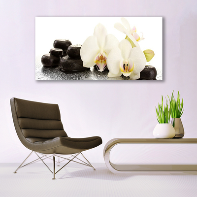 Canvas bild Vit orkidéblomma