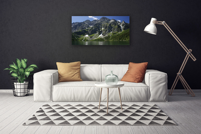 Fototryck canvas Berg Lake Forest Landskap