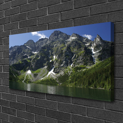 Fototryck canvas Berg Lake Forest Landskap