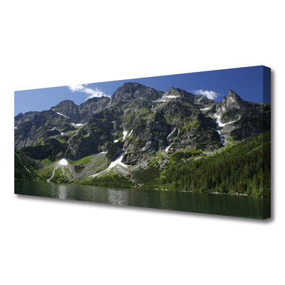 Fototryck canvas Berg Lake Forest Landskap