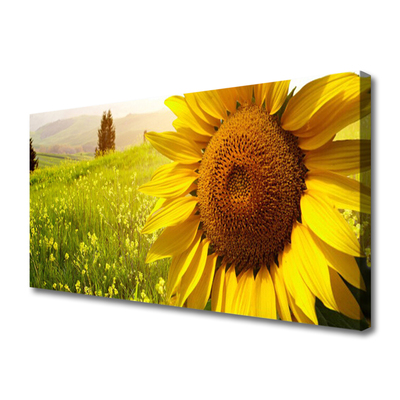 Fototryck canvas Solros blomma växt