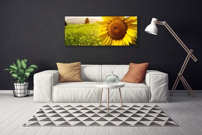 Fototryck canvas Solros blomma växt