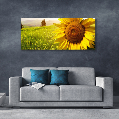 Fototryck canvas Solros blomma växt