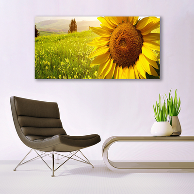 Fototryck canvas Solros blomma växt