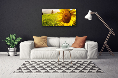 Fototryck canvas Solros blomma växt