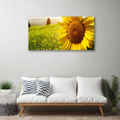 Fototryck canvas Solros blomma växt