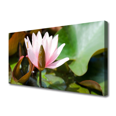 Fototryck canvas Blomma Växt Natur