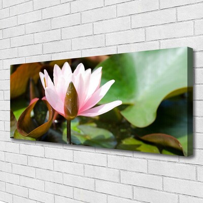 Fototryck canvas Blomma Växt Natur