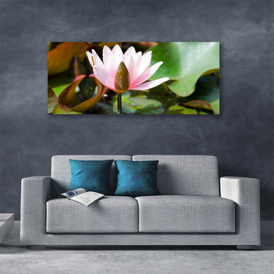 Fototryck canvas Blomma Växt Natur