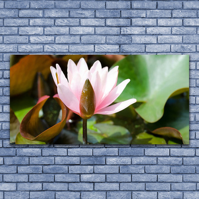 Fototryck canvas Blomma Växt Natur