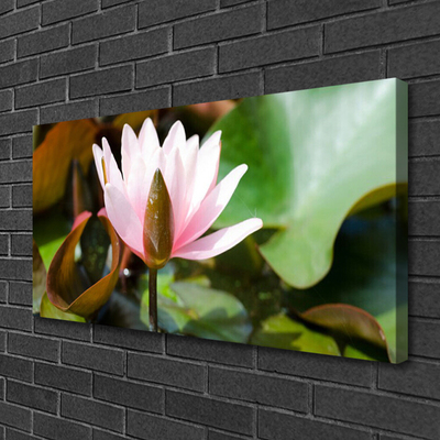 Fototryck canvas Blomma Växt Natur