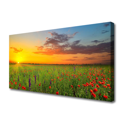 Foto till canvastavla Sun Meadow Blommor Natur