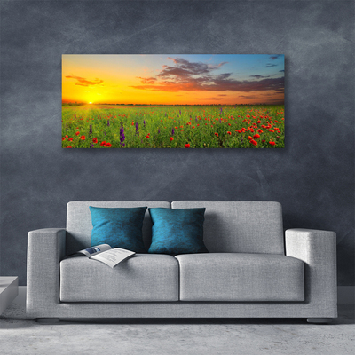 Foto till canvastavla Sun Meadow Blommor Natur